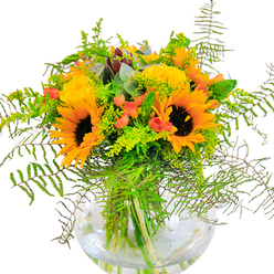 From the first glance, this bouquet radiates an atmosphere of abundant warmth and joy, as if capturing the golden glow of Addington's open fields during late summer. Majestic sunflowers, their broad faces and intricate brown centers turned outward, command attention, their luminous yellow petals flanked by rosettes of creamy yellow roses. The roses' densely-packed spirals invite closer inspection, their soft texture standing in gentle contrast to the rugged strength of the sunflowers. Lively sparks of red Hypericum berries are scattered throughout, adding a playful energy and punctuating the yellows and greens. Verdant greenery, including cascading ferns common to gardens near Heathfield Road, light green filler studded with tiny yellow blossoms, and elegant eucalyptus sprigs in a muted blue-green, weave together to create generous texture and depth. The arrangement is housed in a sleek, round glass vase that cradles each stem in clear water, allowing the viewer to appreciate the architectural lines and natural roots of every flower. Bathed in natural light, the bouquet glows with a cheerful radiance, filling the air with a suggestion of fresh fields and sunlit serenity. Thoughtfully crafted by Addington Florist, it's a quintessential centerpiece for birthdays, anniversaries, or any celebration that calls for the feeling of happiness brought indoors from the local landscape.